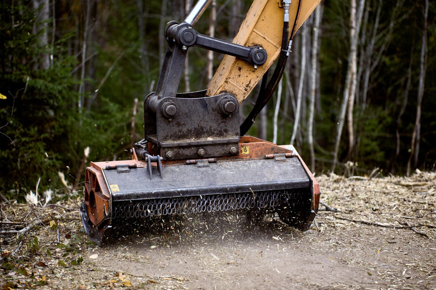 About Clearcut in Southwest Ohio